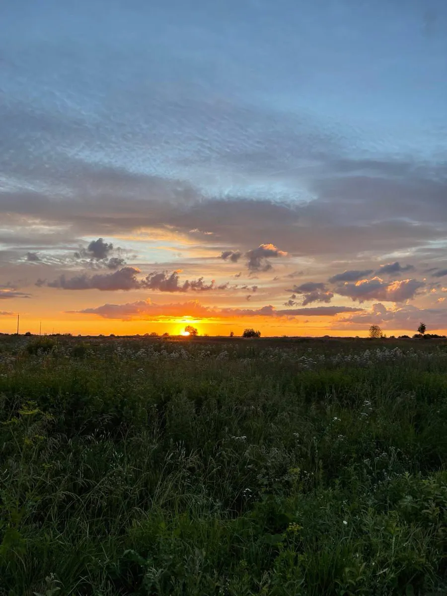 Закат над лугом